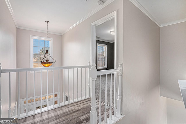 corridor with wood finished floors, an upstairs landing, and ornamental molding
