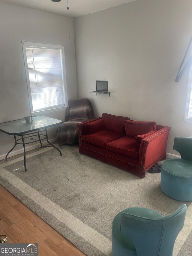 living room with ceiling fan and wood-type flooring