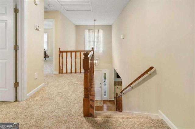 stairs featuring carpet floors