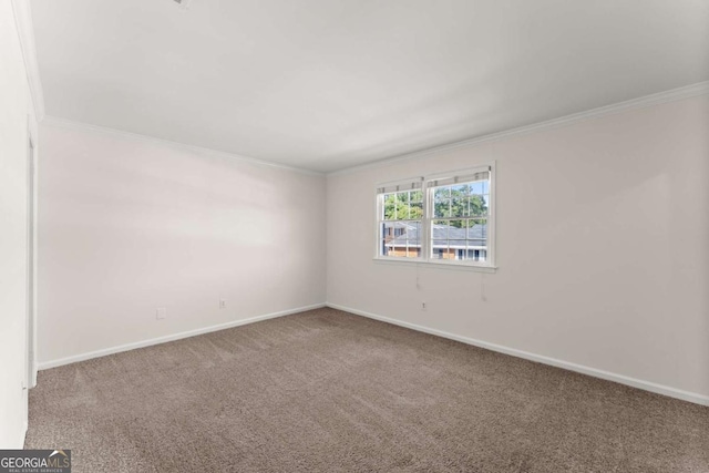 carpeted empty room with crown molding