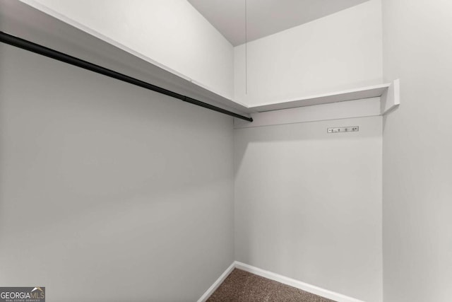 walk in closet featuring carpet floors