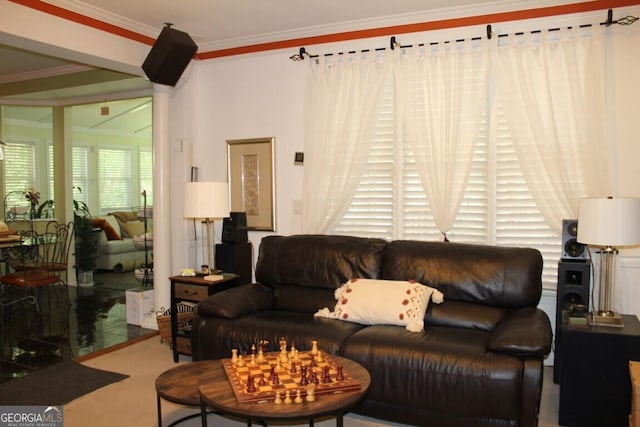 living room featuring a wealth of natural light and crown molding