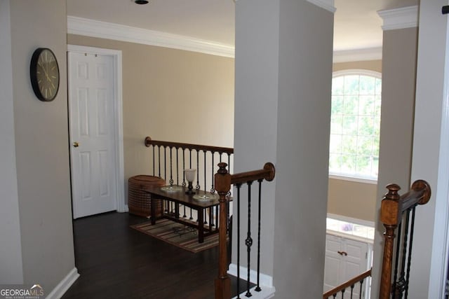 hall featuring crown molding and dark hardwood / wood-style flooring