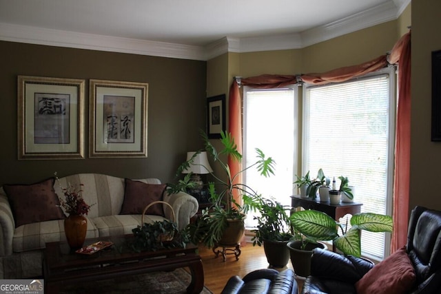 living room featuring hardwood / wood-style floors and ornamental molding