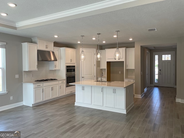 kitchen featuring visible vents, appliances with stainless steel finishes, white cabinets, a sink, and under cabinet range hood