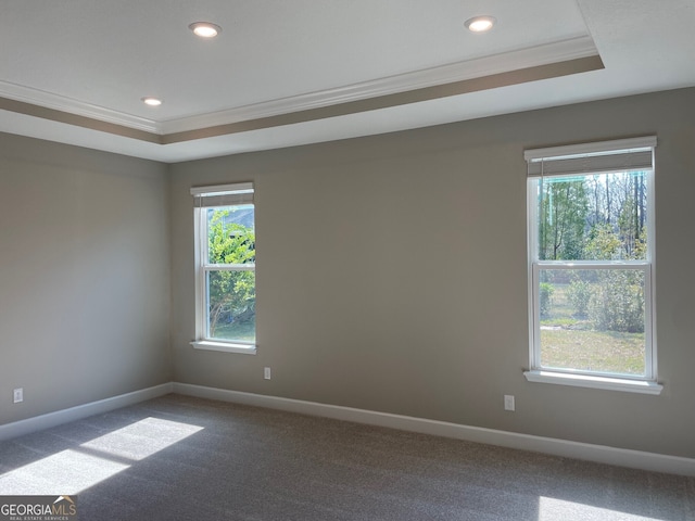 empty room featuring carpet, a raised ceiling, crown molding, and baseboards