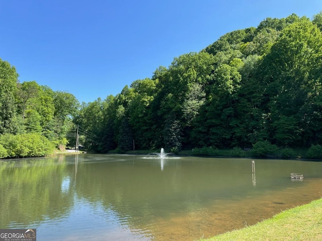 view of water feature