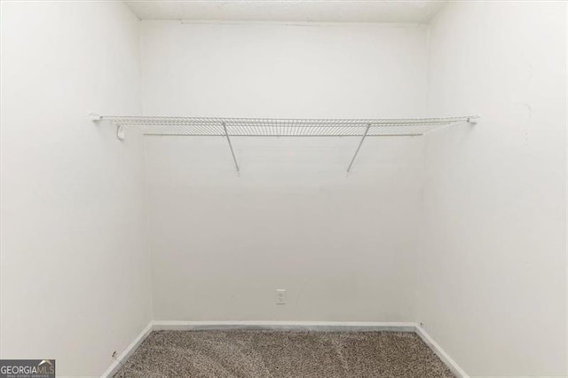 walk in closet featuring carpet flooring