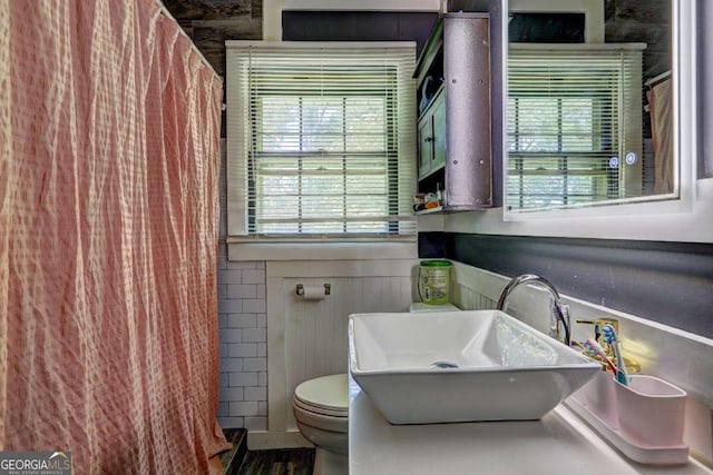 bathroom featuring a shower with curtain, toilet, and sink