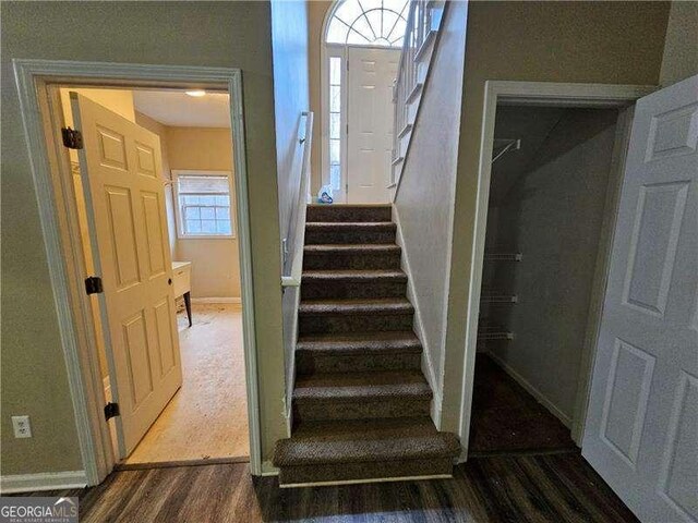 staircase with hardwood / wood-style flooring