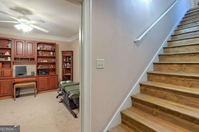 stairs with ceiling fan, crown molding, carpet, and built in desk