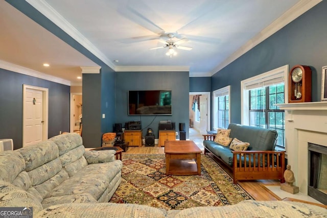 living room featuring crown molding, ceiling fan, and light wood-type flooring