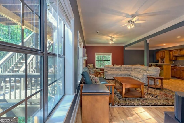 living room featuring a wealth of natural light, light hardwood / wood-style flooring, ceiling fan, and crown molding