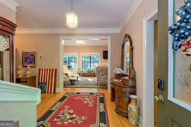 foyer featuring crown molding and hardwood / wood-style flooring