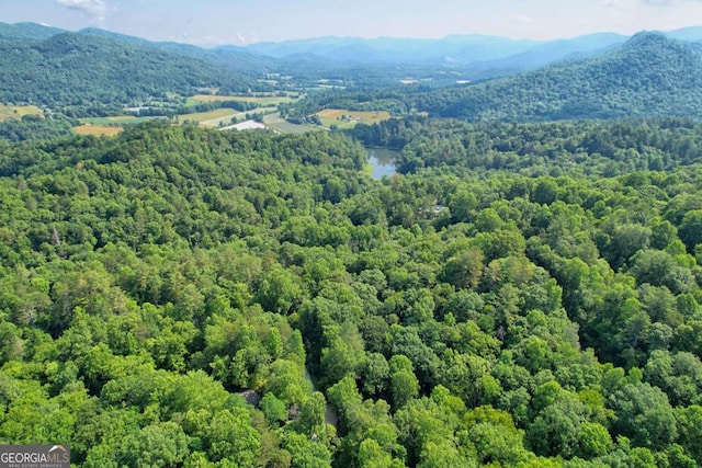 drone / aerial view featuring a mountain view