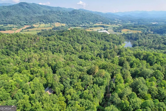 aerial view featuring a water and mountain view