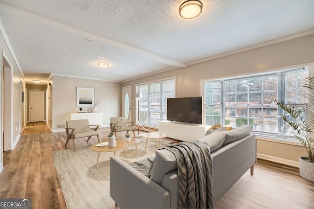 living room with a textured ceiling, light hardwood / wood-style floors, and ornamental molding