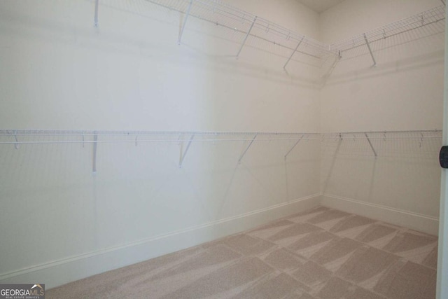 spacious closet featuring carpet