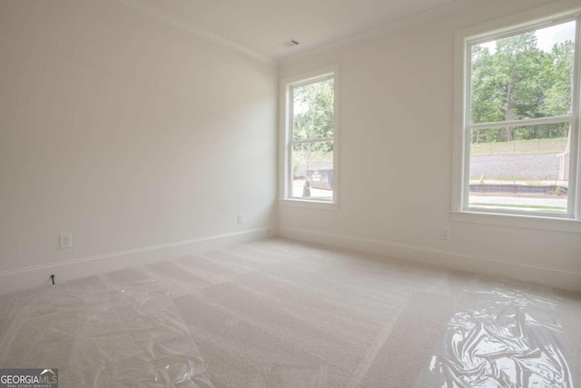 carpeted empty room with crown molding