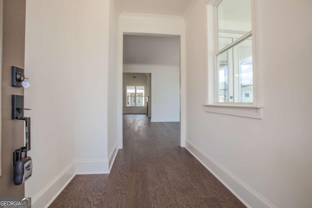 corridor featuring dark hardwood / wood-style floors and ornamental molding