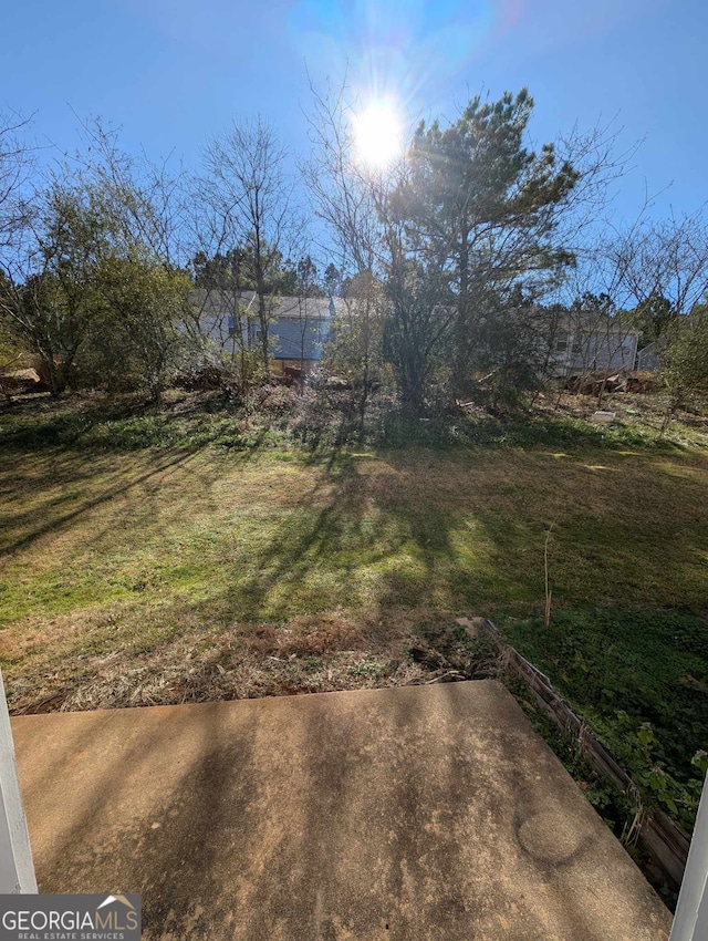 view of yard featuring a patio area