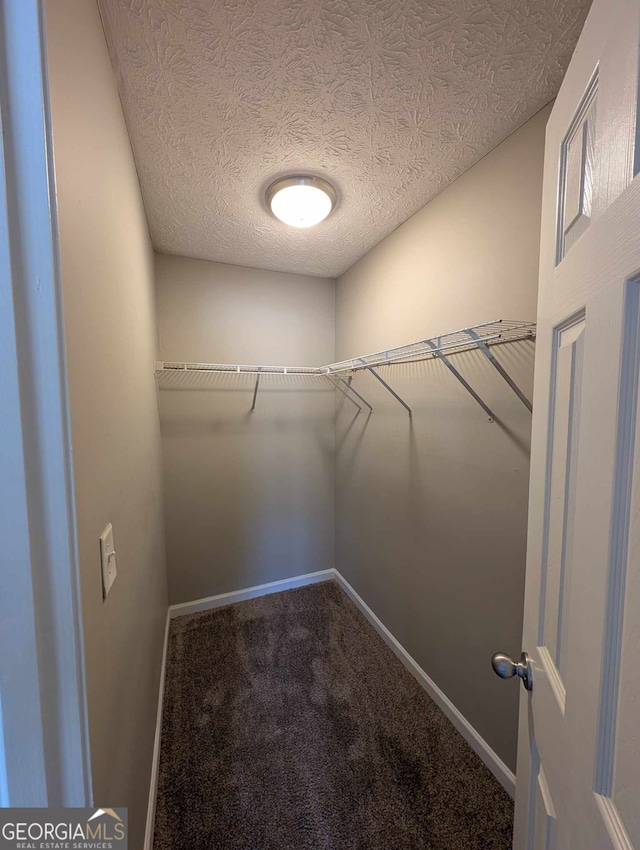 walk in closet featuring carpet