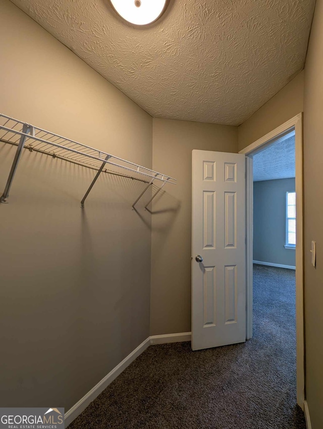 walk in closet with dark colored carpet