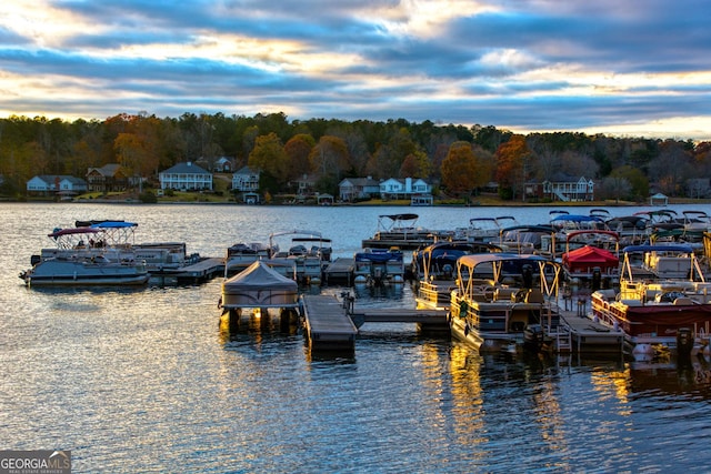 dock area featuring a water view