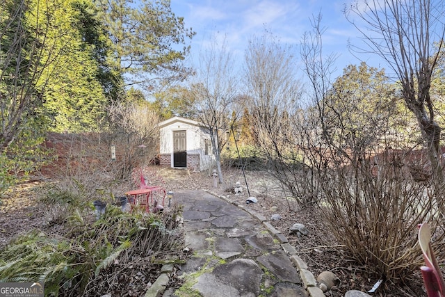 view of yard with a patio area and a storage unit