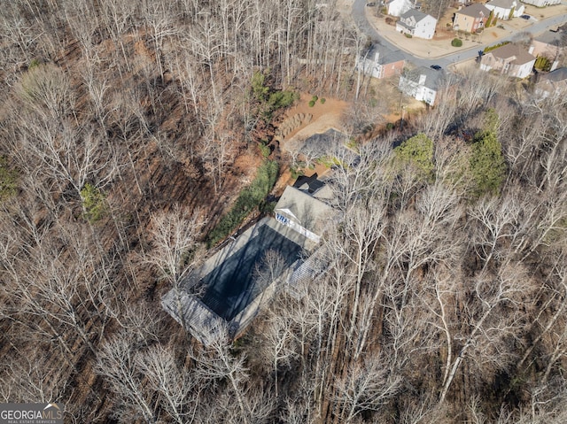 bird's eye view