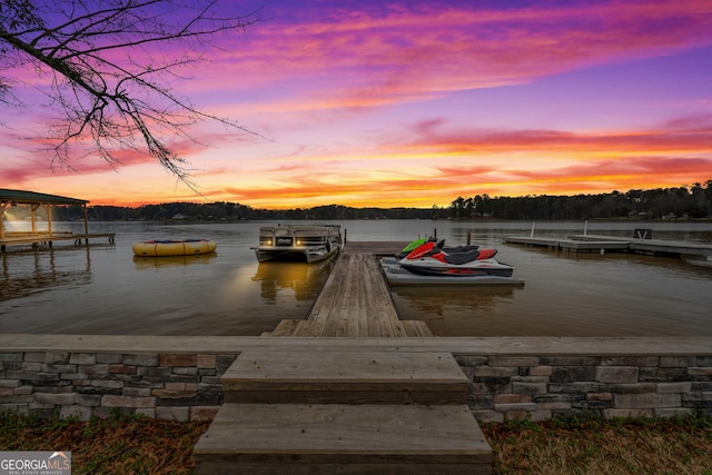 dock area with a water view