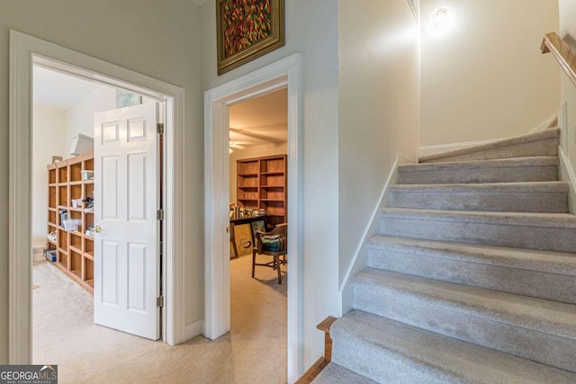 stairway with carpet floors and ceiling fan