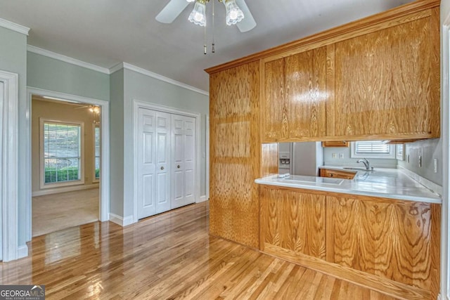 kitchen featuring ceiling fan, crown molding, sink, and light hardwood / wood-style flooring