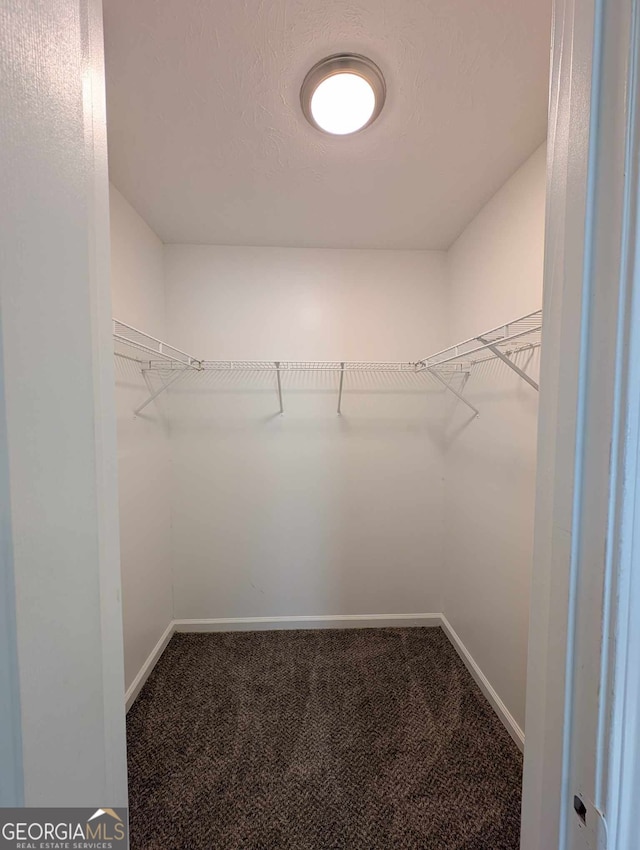 walk in closet featuring carpet floors