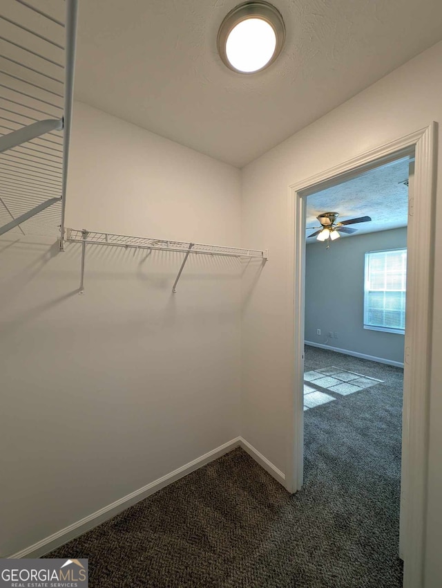 spacious closet with ceiling fan and carpet floors