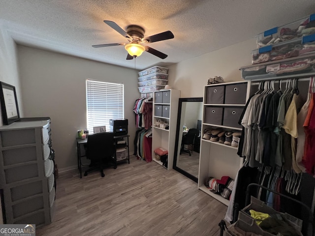 home office featuring hardwood / wood-style flooring, ceiling fan, and a textured ceiling