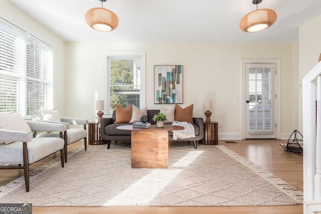 sitting room featuring a healthy amount of sunlight and light hardwood / wood-style floors