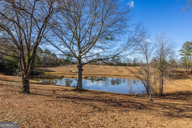 view of water feature