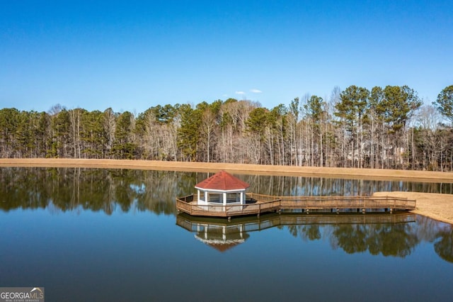 view of dock with a water view