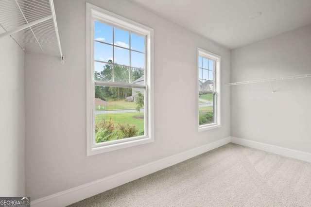 spacious closet with carpet flooring