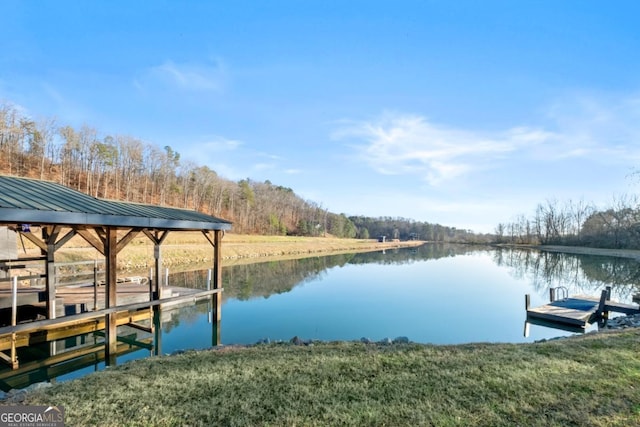 dock area with a water view