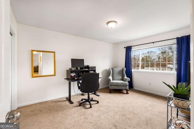 office area featuring carpet floors