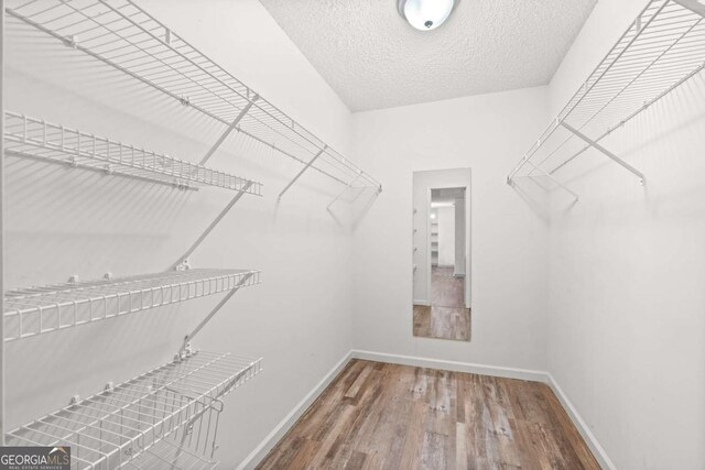 spacious closet featuring wood-type flooring