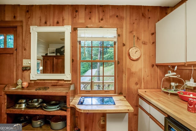 interior space with wood walls