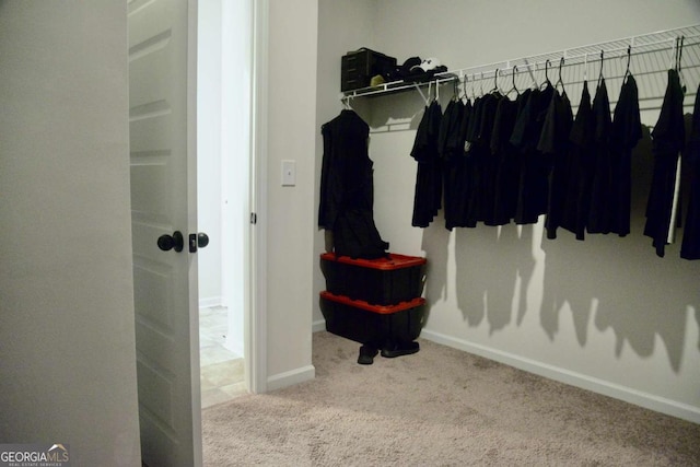 walk in closet with carpet flooring