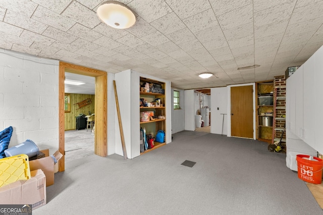 basement featuring wood walls and light colored carpet