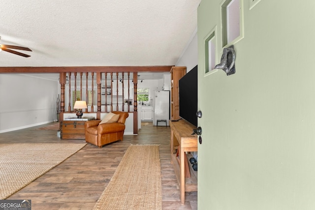 interior space with ceiling fan, hardwood / wood-style floors, a textured ceiling, and sink