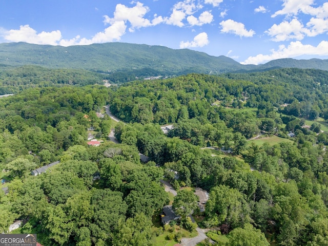 bird's eye view with a mountain view