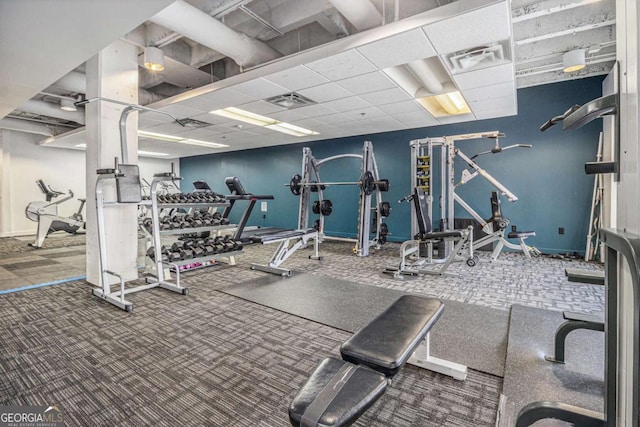 gym featuring carpet flooring and a drop ceiling