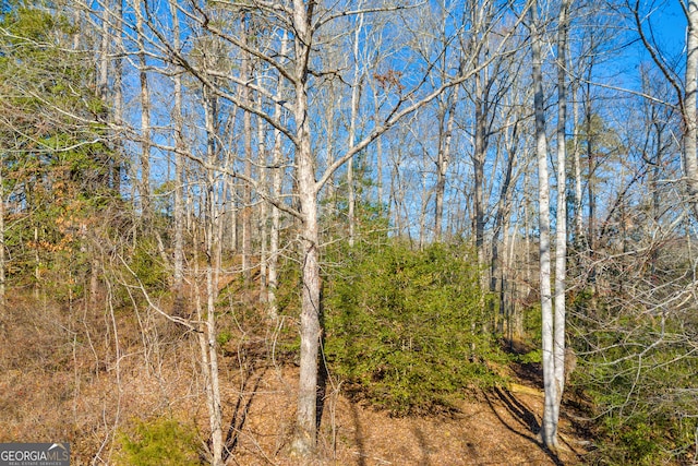LOT15 Old Timber Trl, Cornelia, GA 30531